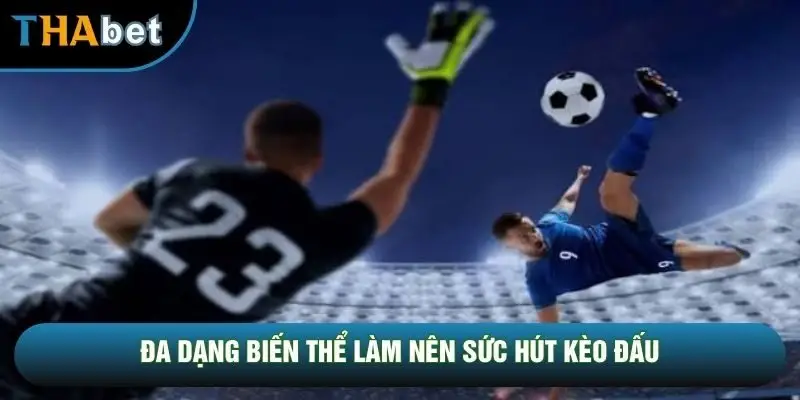 Đa dạng biến thể làm nên sức hút kèo đấu Đa dạng biến thể làm nên sức hút kèo đấu