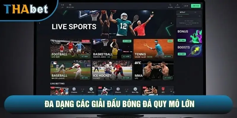 Đa dạng các giải đấu bóng đá quy mô lớn Đa dạng các giải đấu bóng đá quy mô lớn
