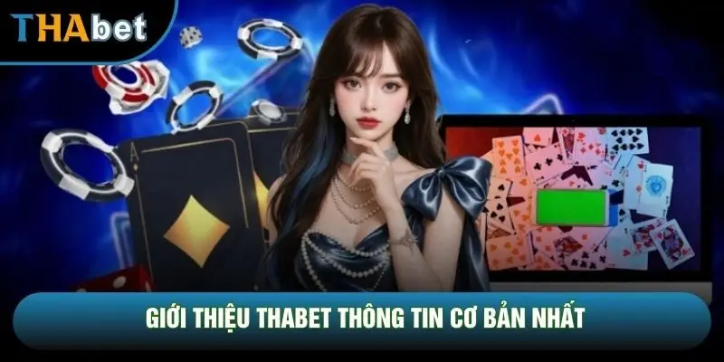 Giới thiệu THABET thông tin cơ bản nhất