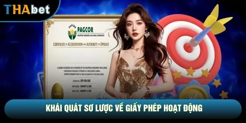 Khái quát sơ lược về giấy phép hoạt động Khái quát sơ lược về giấy phép hoạt động
