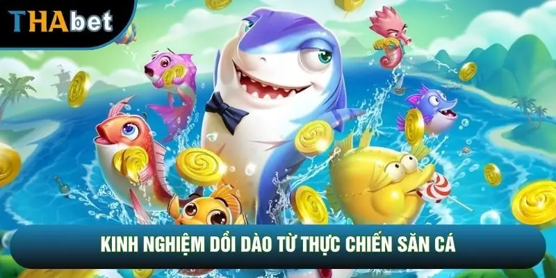 Kinh nghiệm dồi dào từ thực chiến săn cá Kinh nghiệm dồi dào từ thực chiến săn cá