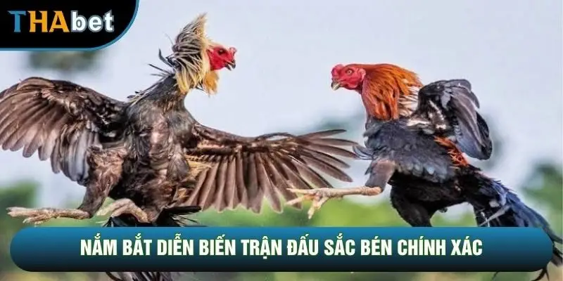 Nắm bắt diễn biến trận đấu sắc bén chính xác