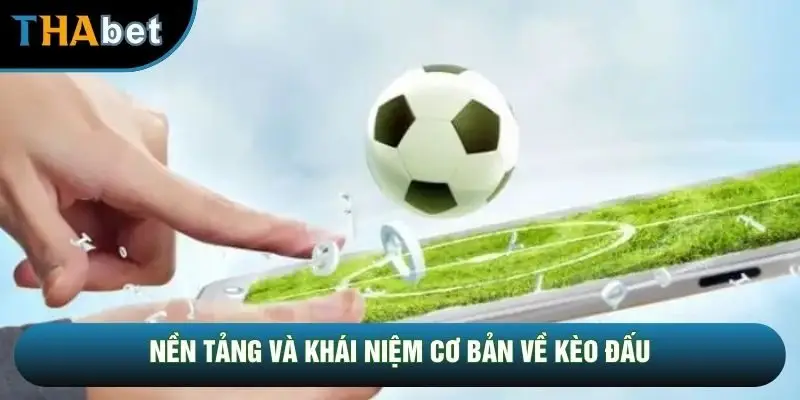 Nền tảng và khái niệm cơ bản về kèo đấu