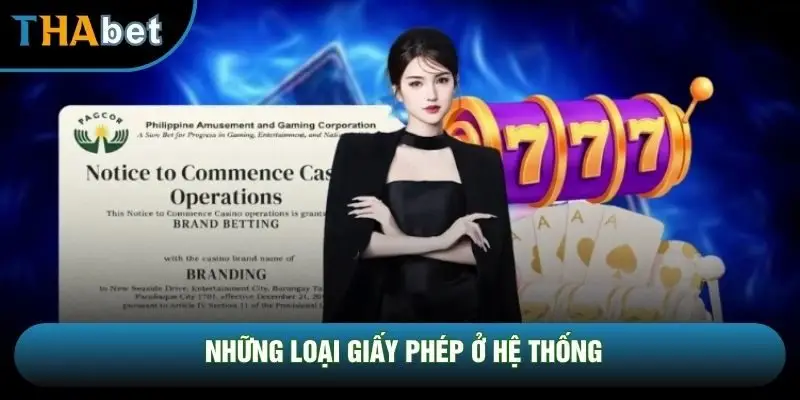 Những loại giấy phép ở hệ thống Những loại giấy phép ở hệ thống