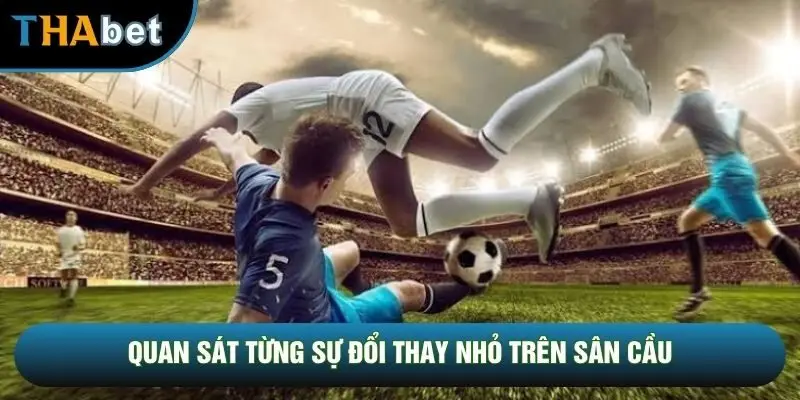 Quan sát từng sự đổi thay nhỏ trên sân cầu Quan sát từng sự đổi thay nhỏ trên sân cầu