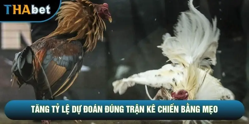 Tăng tỷ lệ dự đoán đúng trận kê chiến bằng mẹo