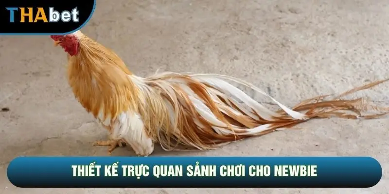 Thiết kế trực quan sảnh chơi cho newbie