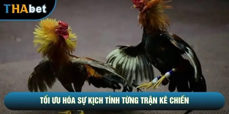 Tối ưu hóa sự kịch tính từng trận kê chiến