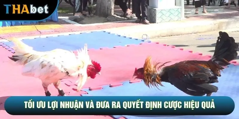 Tối ưu lợi nhuận và đưa ra quyết định cược hiệu quả