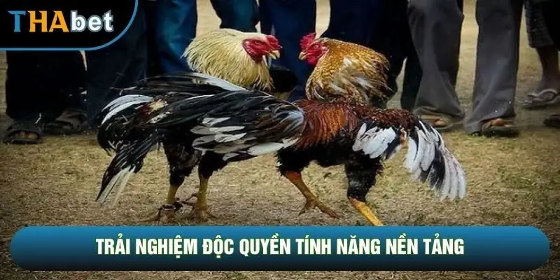 Trải nghiệm độc quyền tính năng nền tảng