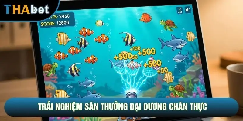 Trải nghiệm săn thưởng đại dương chân thực Trải nghiệm săn thưởng đại dương chân thực