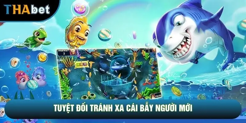 Tuyệt đối tránh xa cái bẫy người mới Tuyệt đối tránh xa cái bẫy người mới