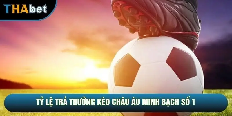 Tỷ lệ trả thưởng kèo châu âu minh bạch số 1